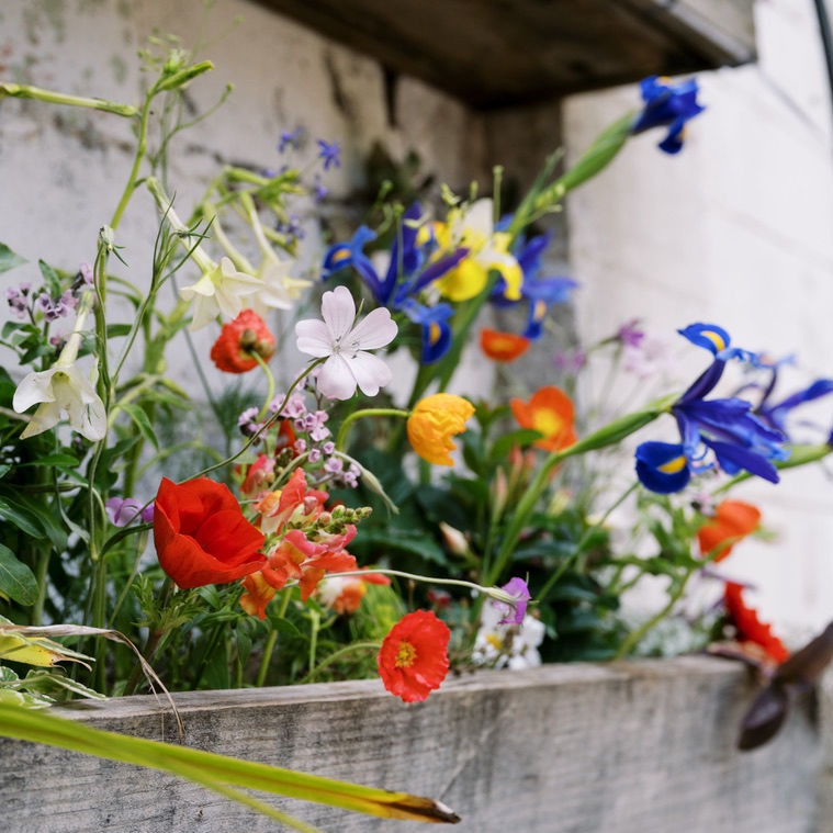 Planter box with flowers