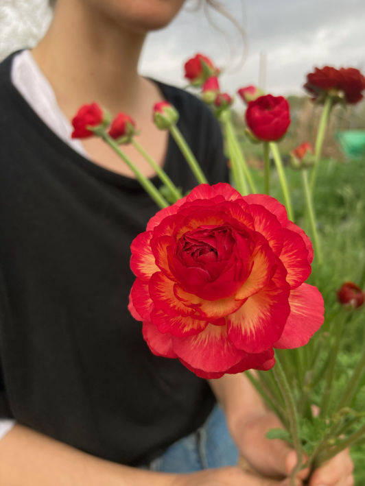 Char with ranunculus